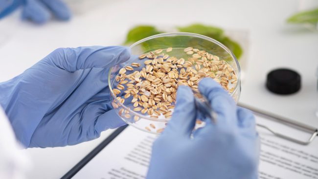 gida-sağlığı-felsefemiz-gorsel